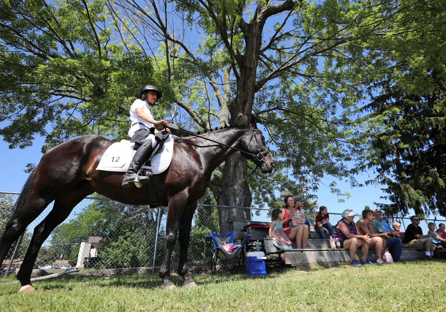 Sauk County Fair